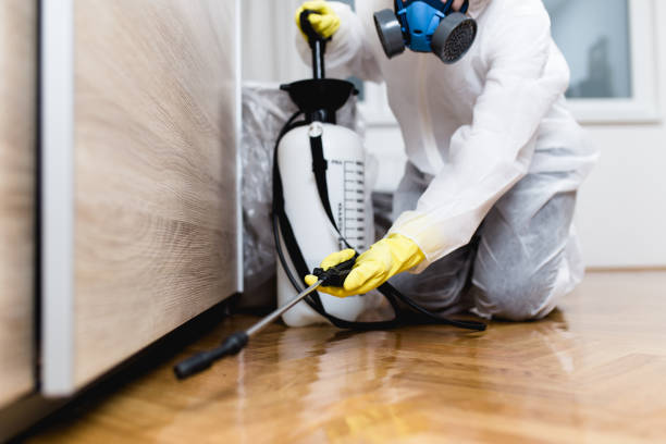 Best Commercial Pest Control Services  in Gluckstadt, MS